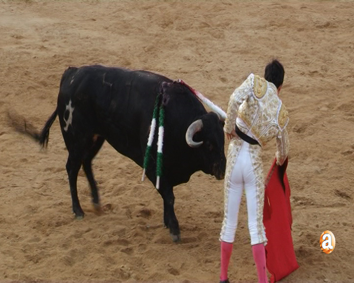 Imagen de archivo: festejo taurinos