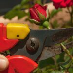 El equipo de gobierno propondrá la continuidad de los contratos de parques y jardines y la depuradora 